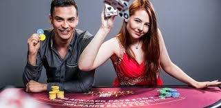 finebook247 Live Casino