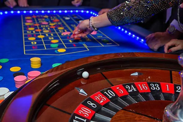 finebook247 Bingo